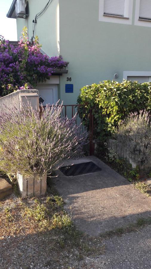 Green House Apartment Pula Exterior foto